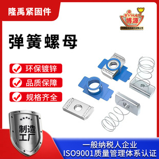 Spring Nut ������ĸ������ĸ��̖�RȫC������M6-M12���������