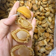 30�^40�^��̖�U�~�����ĺ��r��؛���B�������Ǽ�ʳ�t���Ҝ�����