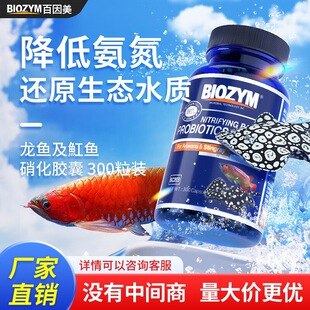 ���������������z�����~��ˮ�|������������ ���~����~300��