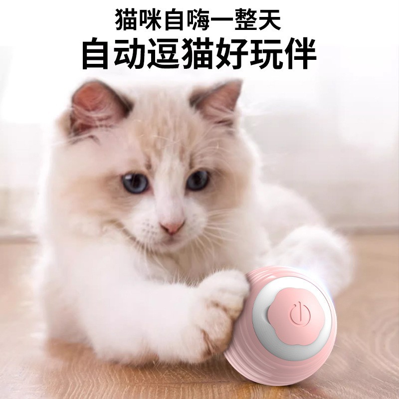Gravedad transfronteriza bola rodante inteligente juguete para gatos con menta gatera molar resistente a morder productos para mascotas de Hi Ball al por mayor