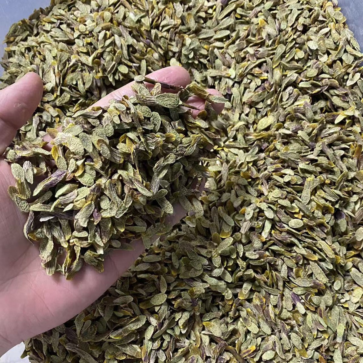 Dried Dendrobium Stem Slices Shi Hu 50g Premium Tiepi Shihu Slices for Soup and Tea quality and texture