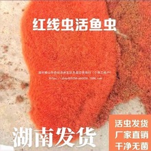 ϼtx~ʳwxˮtzx^p~ߵ~϶