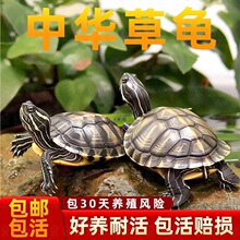 ���A����С�������������L�����𾀌����^�p��ˮ����ī��������