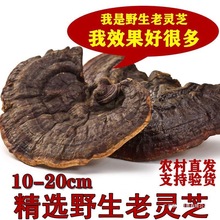 `֥ҰɽҰ`֥؛o֥`֥șƬҰ`֥ݾ