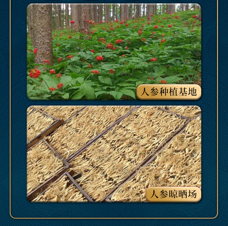 Ginseng Blueberry Juice Drink 350ml Jilin Northeast China Ready to Drink Bottled Beverage key features