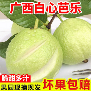 �V����ʯ��Fժ�F�lˬ����İŘ����Ǯ������rˮ�����]һ��������