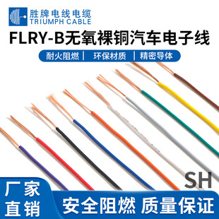 �I�� FLRY-B�o�����~��܇��Ӿ� 300V ���C��/ͨӍ/��X/��������