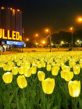 led�������̫���ͥԺ������ز��ƺ���������⾰�^�Շ��b�