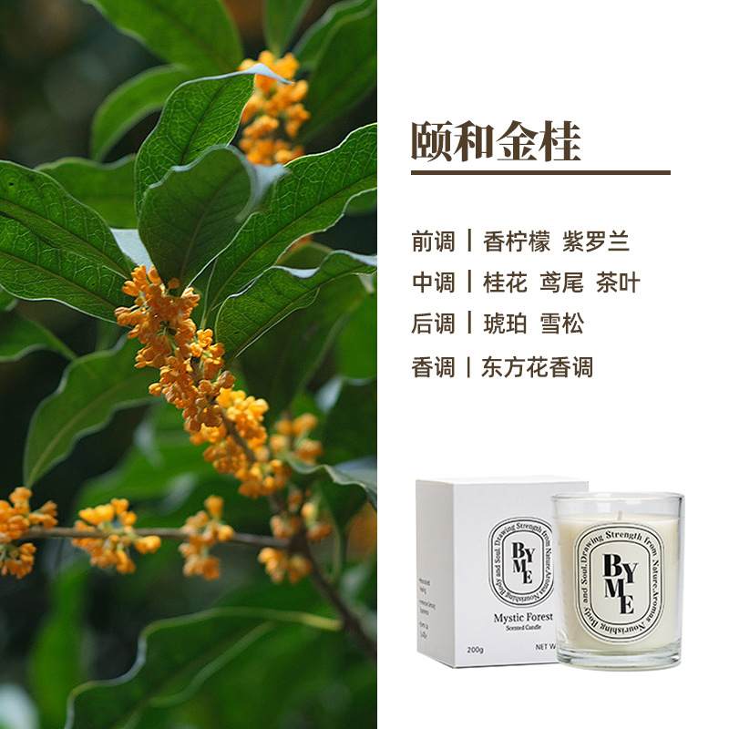 Byme cera de soja aromaterapia vela gran capacidad planta aceite esencial aromaterapia decoración interior avanzada mano traje regalo