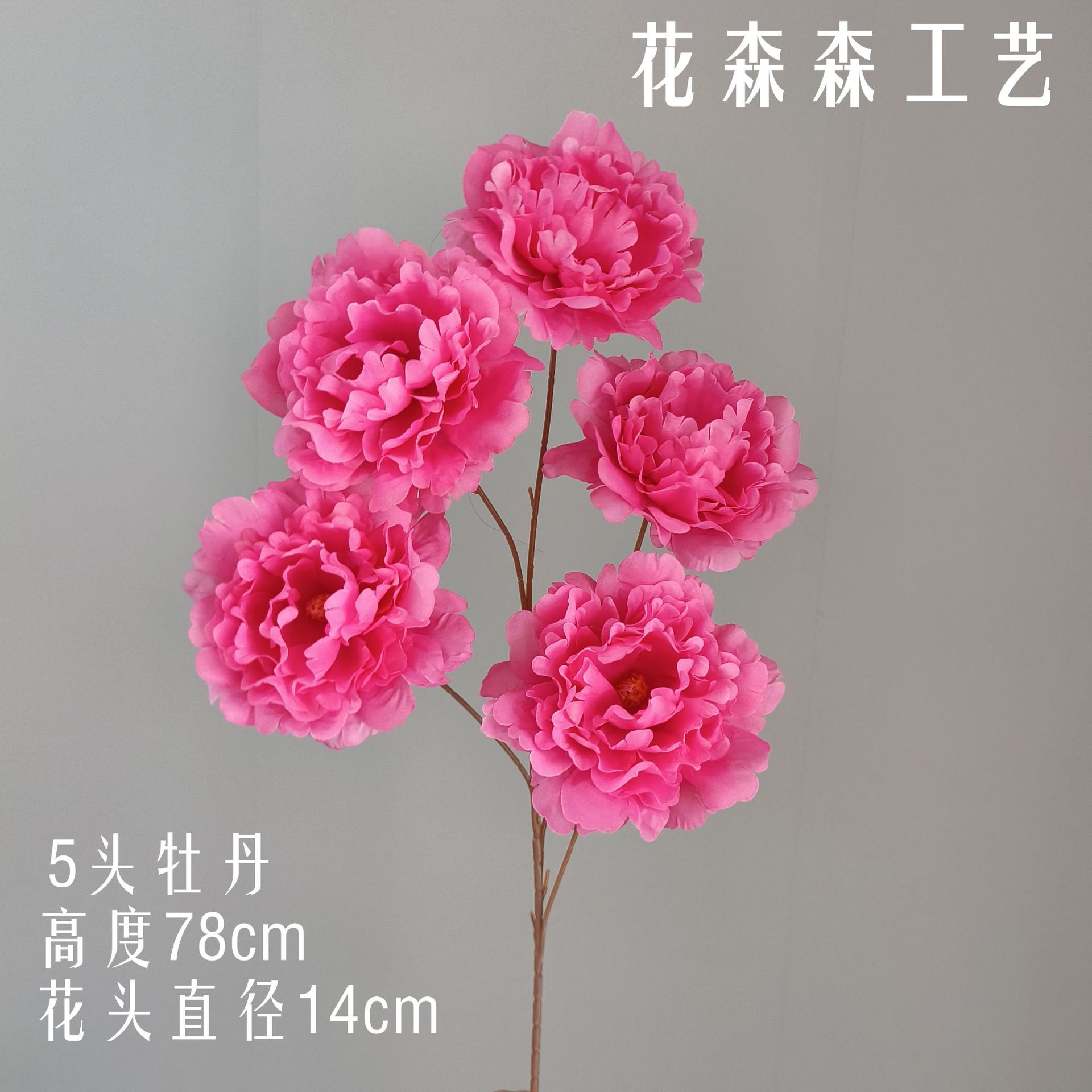 5 머리 모란 150931