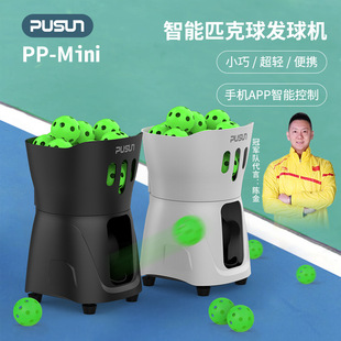 ����PP-MINI PROƥ����l��C�����ԄӒ����֙CAPP���Ƒ���