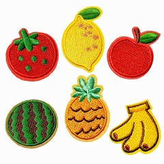 オリジナルの果物の刺繍布は小さいサイズの服を貼ります。