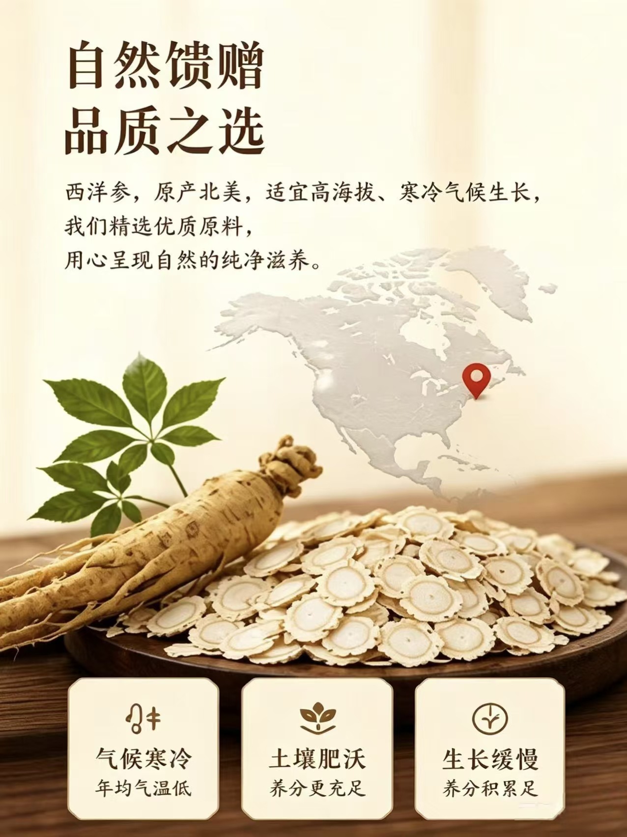 American Ginseng Slices Xi Yang Shen 1kg Bulk for Tea and Simmering overview