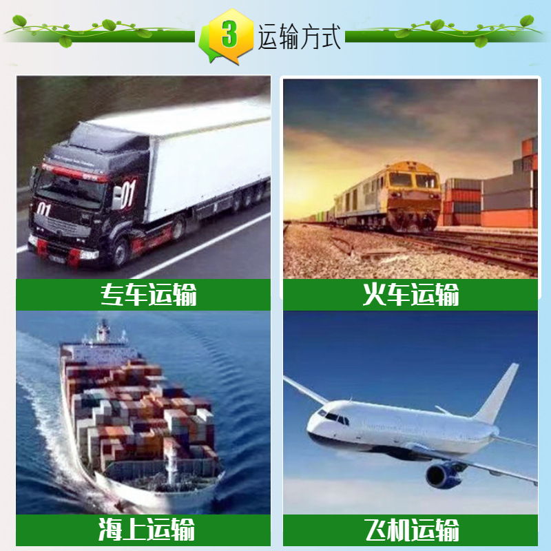 鹅-11.jpg