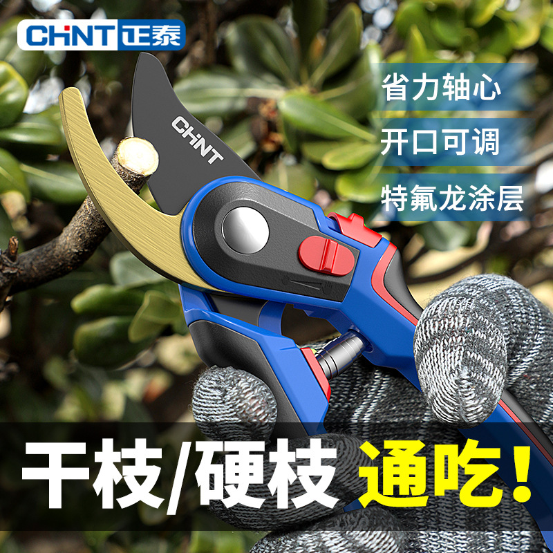 正泰剪枝工具修枝剪刀果树园林园艺剪修剪树枝花艺剪省力大粗枝剪