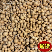 С���Jһ��؛Դ�����^��Ȼ����С����������ؔ����湩��