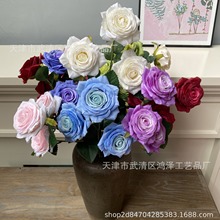 3�^�Wʽ ����õ���Y�þƵ����ܛ�b������c����õ�廨�����滨