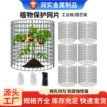 跨境植物保护网片园林花卉苗木防破坏铁丝保护罩可拼接植物网格片