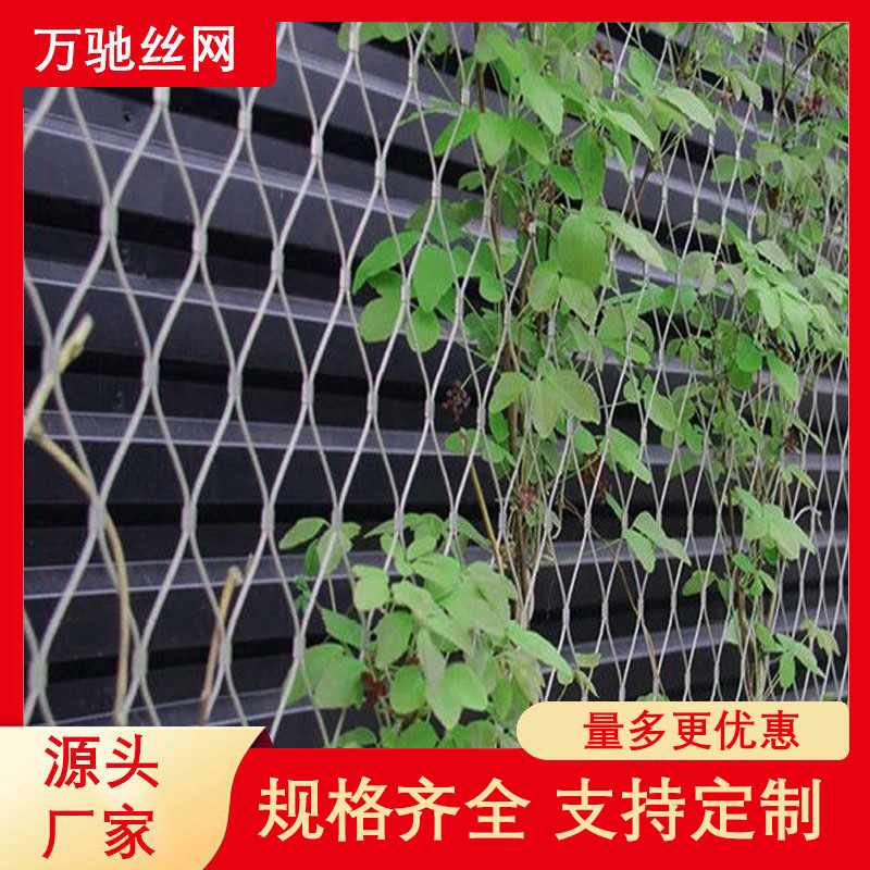 304不锈钢墙体绿化绳网安全防护装饰网植物园绿植爬藤卡扣绳网