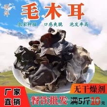 白背木耳干货商用毛木耳地木耳散装脆木耳黑木耳四川火锅食材新品