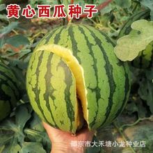 ��Ƥ�����S�����ϷN�ӳ��������S��С�S�ĶYƷ�������߲˹Ϲ��N��