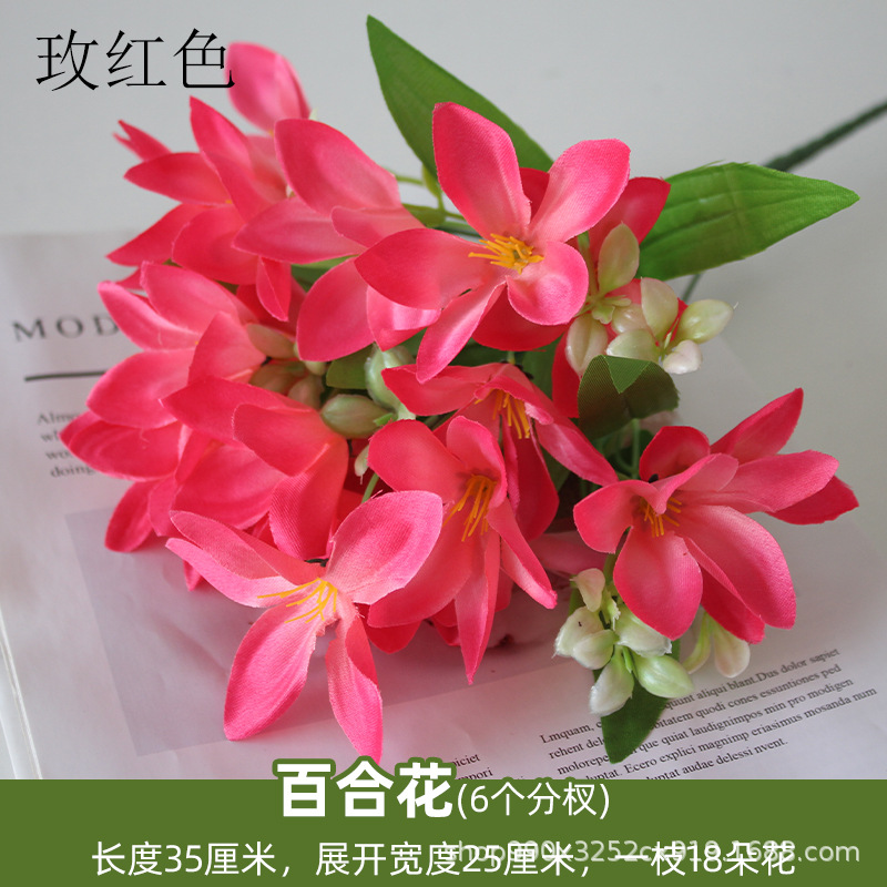 Rose Red Lily mango