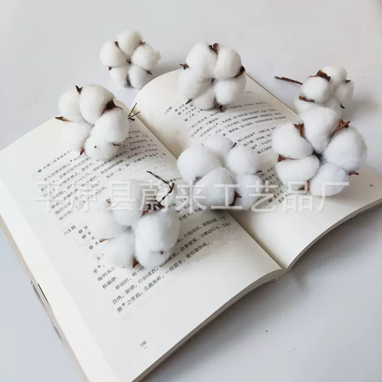 五瓣棉花头  饱满棉花花束 DIY材料 家居装饰拍照道具 花艺摆设