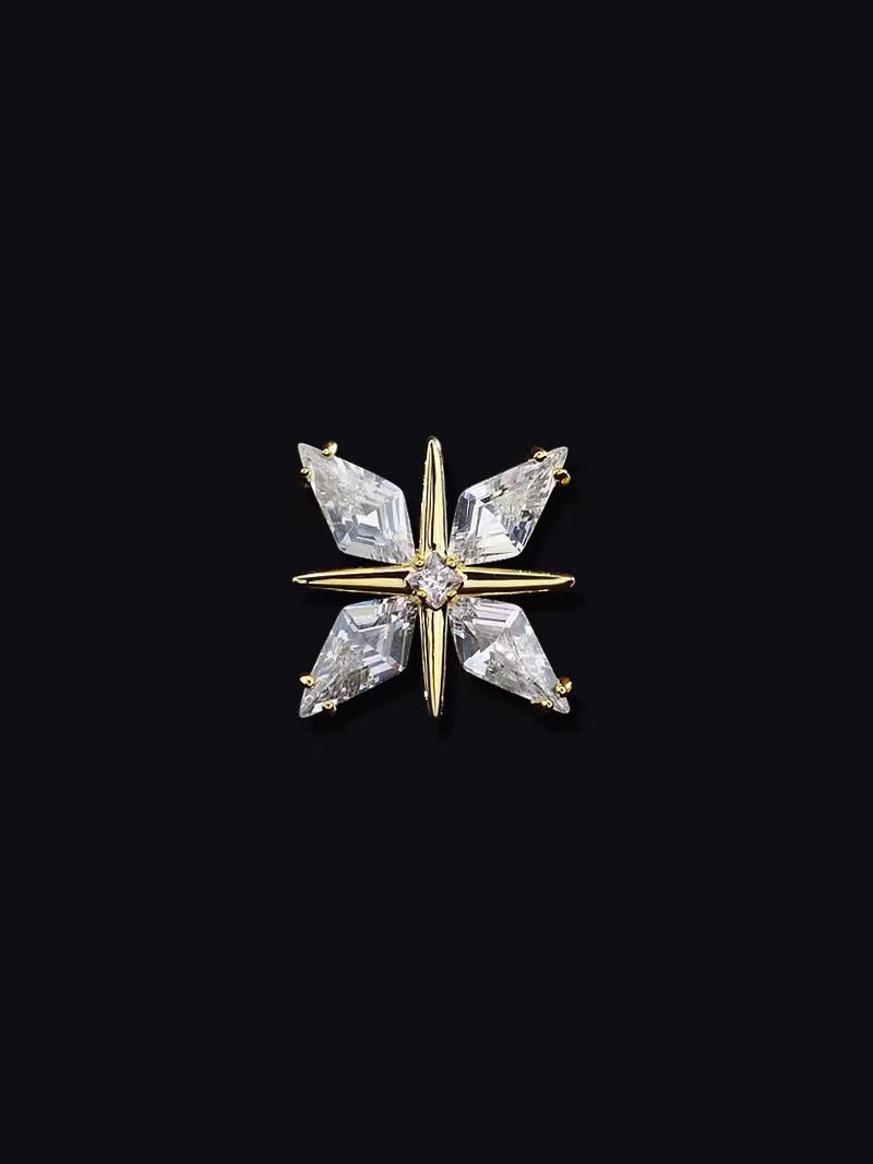 Starlight reversspeld broche voor dames en heren pak accessoire_voghion.com