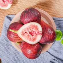 �������r�o�����r���tƤ���r�r��ˮ����Ƥ�廨��ˮ�������t�o����