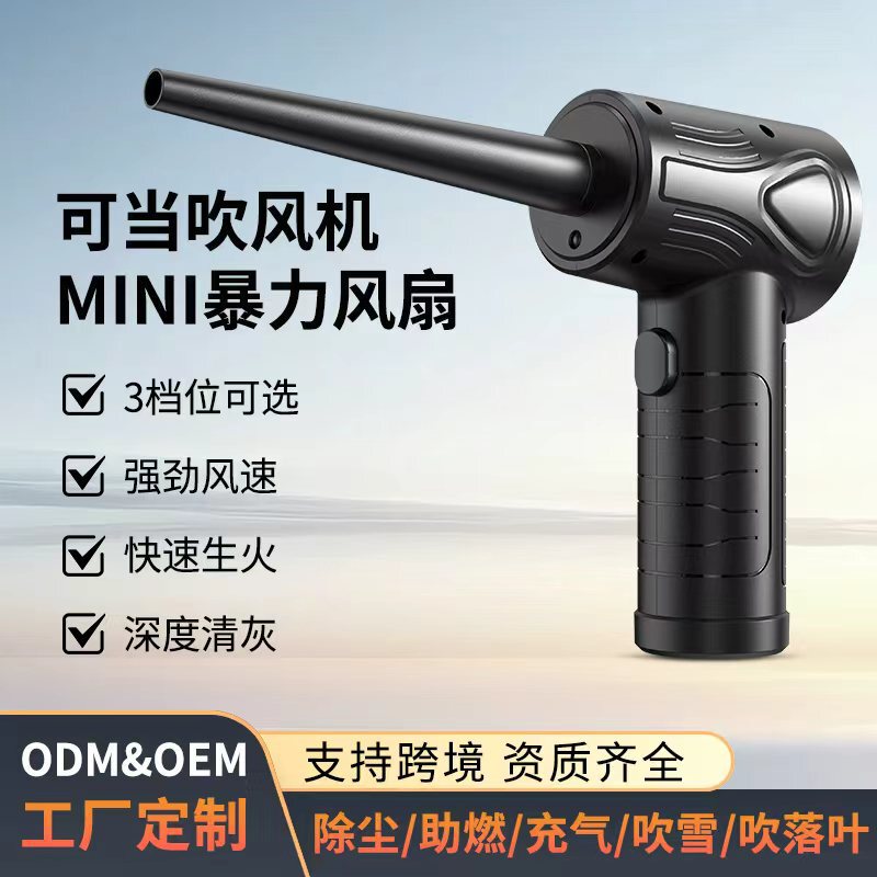Direct Sales from Foreign Trade Factories: Dual-Purpose Car and Home Dust Blower, Portable Wireless Computer Case and Keyboard Cleaning Dust Remover