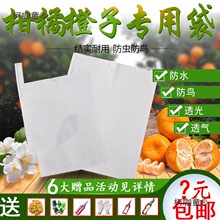 ˮ���״�����â����ʯ���״��������˳��ٸ��ٴ�ҊĚ�Ȳ�֪��̫��