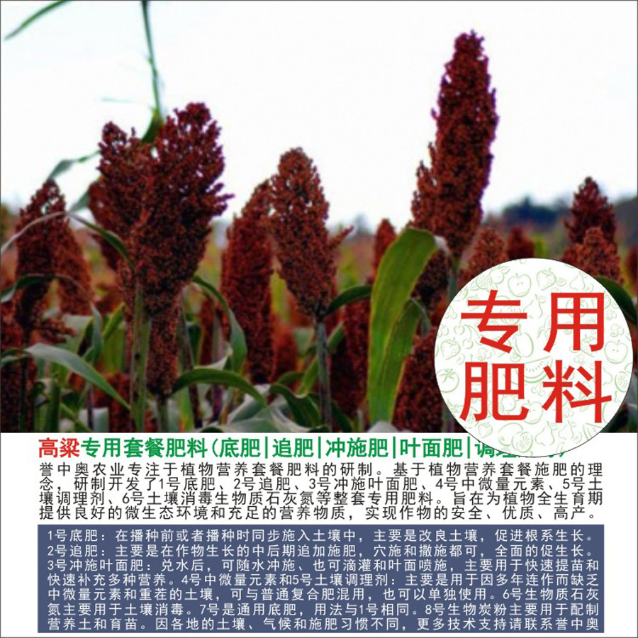 1-50а«ר÷лʸϷʵ׷׷ʳʩҶ