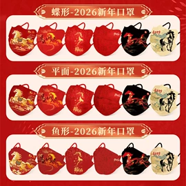 一次性日用口罩;一次性口罩;其他一次性