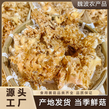 绣球菌干货特产特级菌绣球菇酒店火锅煲汤食材新鲜秀球菌风干