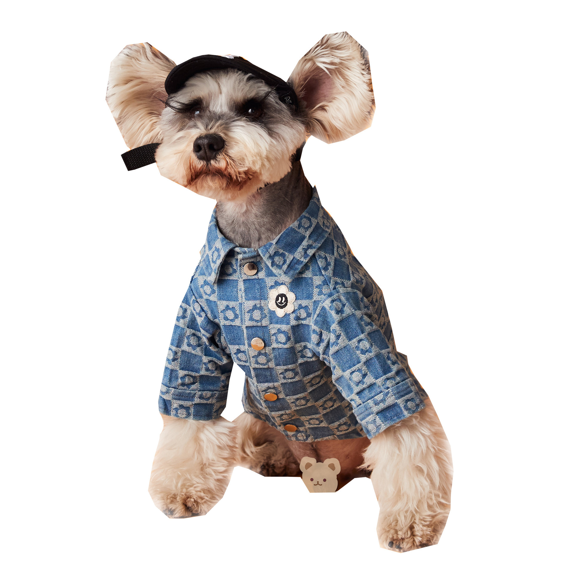 Plush Floral Shirt Teddy Schnauzer Pet Cat Base Image 6