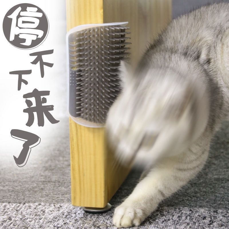 国境を越えた猫のかゆみ器の壁の隅に毛をこすって顔をこすってマッサージします。|undefined