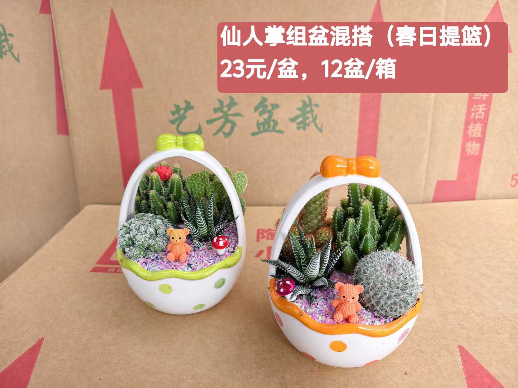 Cactus combinación de vidrio cerámico base de guangzhou venta directa factura boleto especial soporte de cotización de tres partes fábrica directa