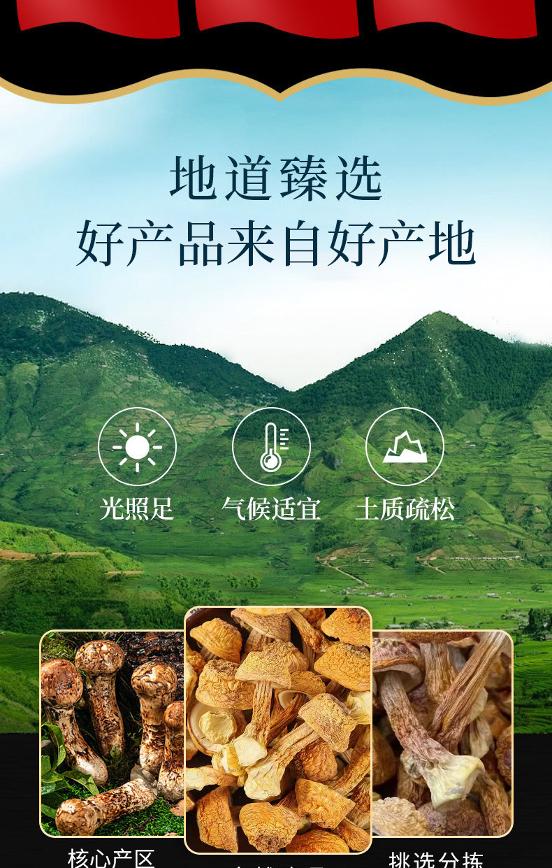 Ji Song Rong (Agaricus blazei) Dried Mushroom — Yunnan Soup Ingredient, 500g key features