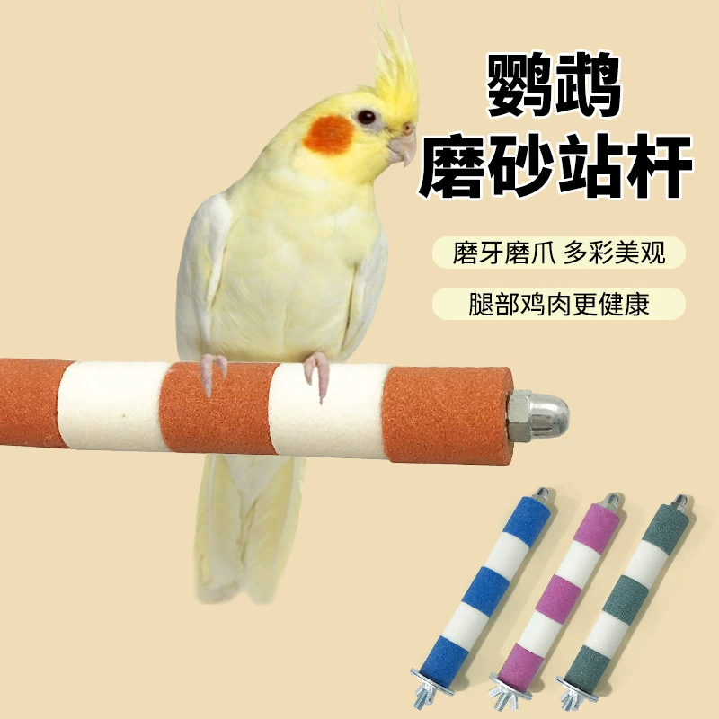 Принадлежности для птичьей клетки на станции попугая