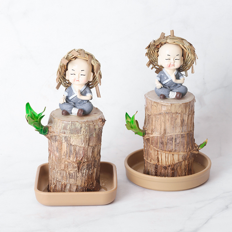 美軒巴西木托盤花盆碗蓮水培容器塑料PP仿陶瓷加厚可蓄水器皿