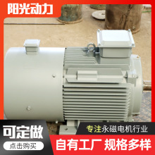 工厂直供结构简单20KW-3000KW发电机组 高效永磁水力发电机组