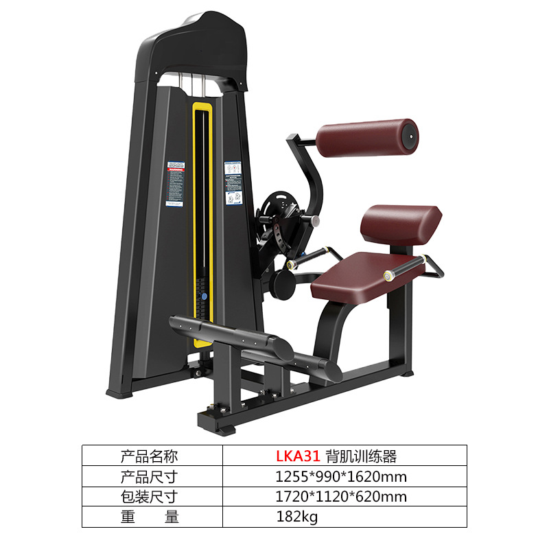 El entrenador abdominal trasero gimnasio comercial debe insertar equipo de fitness de fuerza multicolor suministro directo de fábrica