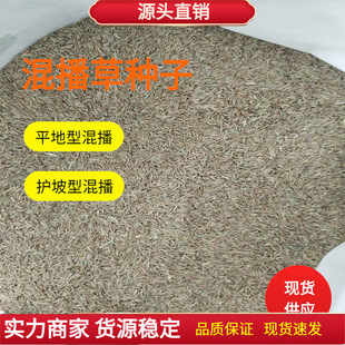 �첥�o����ƽ���Ͳ�ƺ�N�� �ݷN�� �ݷN ����é ����� ������