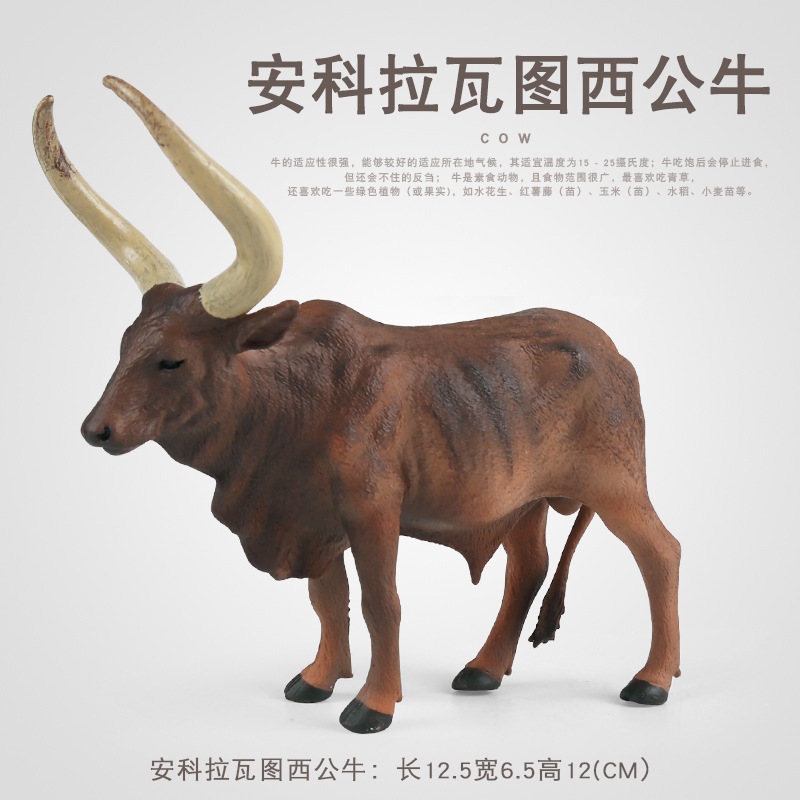 跨境實心仿真動物模型家禽牧場兒童啟蒙玩具安科拉瓦圖西公牛模型