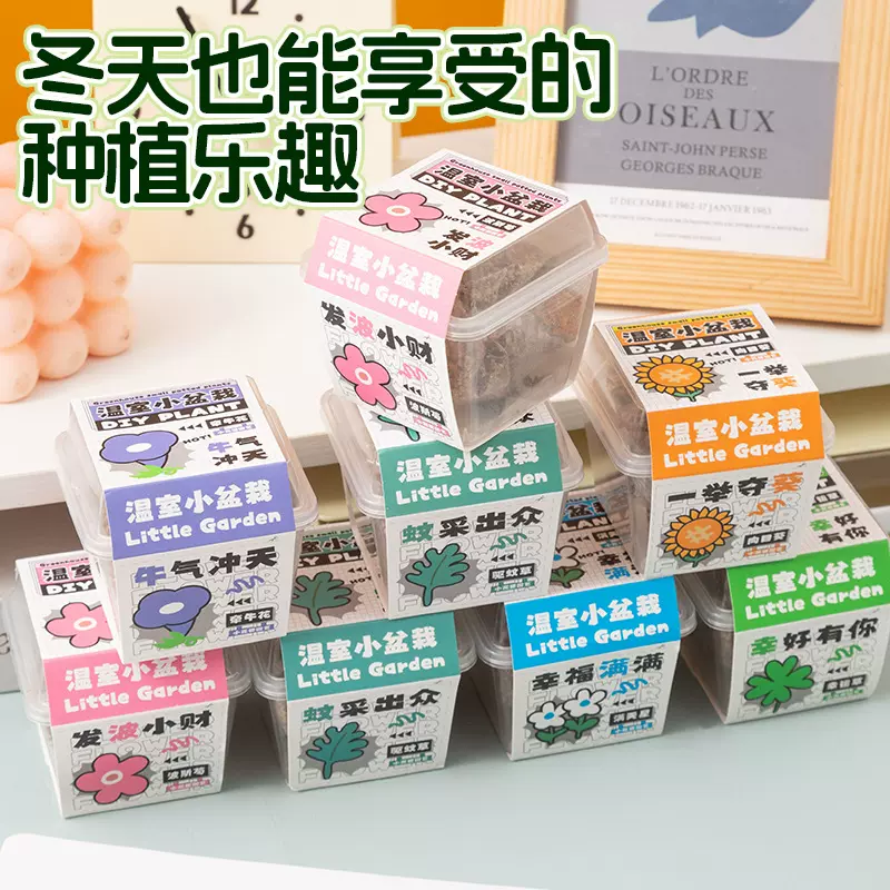 儿童种植创意文字小盆栽盲盒学生植物幼儿园奖品小学生礼物励志盆