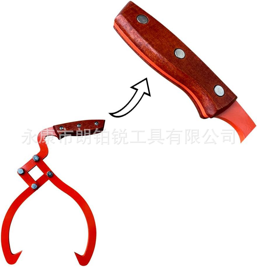 51ixP1jtHrL._AC_SL1000_