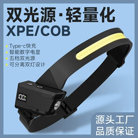 手电筒;头灯头戴电筒;野营/露营灯