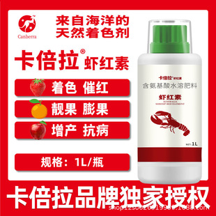 �������r�t�ش���߼t�Dɫ�~��ʸ���ɳ�ǽ��������t�����������