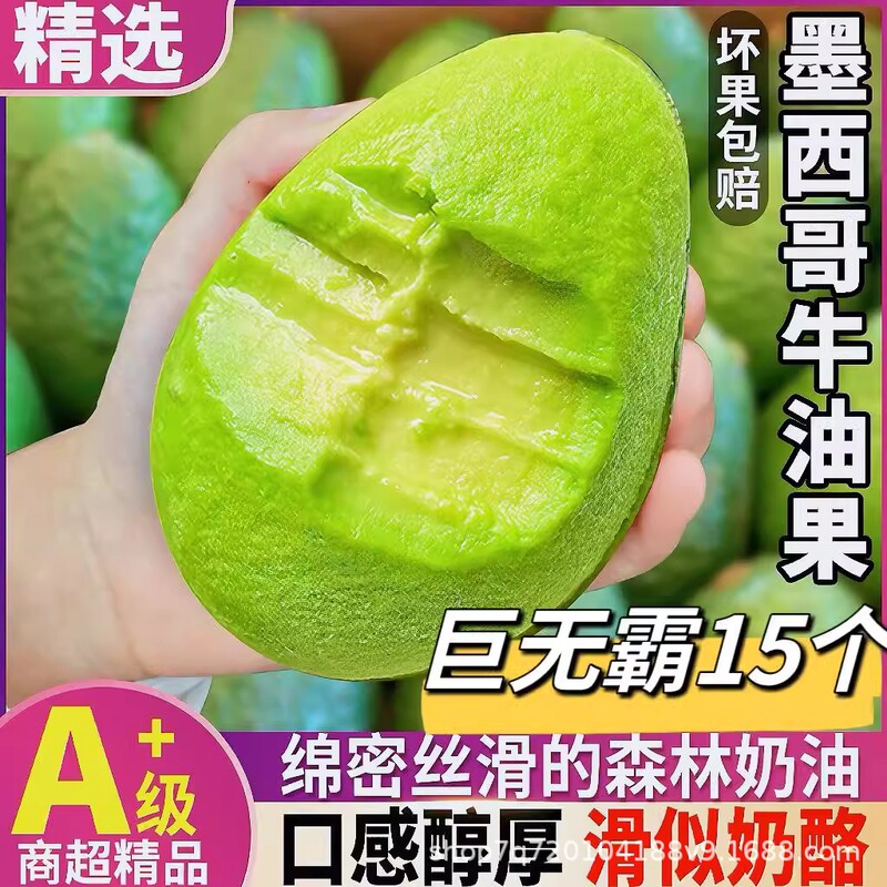 Mexican Avocado Fresh Fruit Seasonal Whole Box Pregnant Women's Giant Avocado Ready-To-Eat Baby Food Supplement