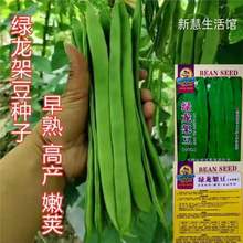 Ź޾GܶNӸ߮aܿмļNrͥԺ߲˷N